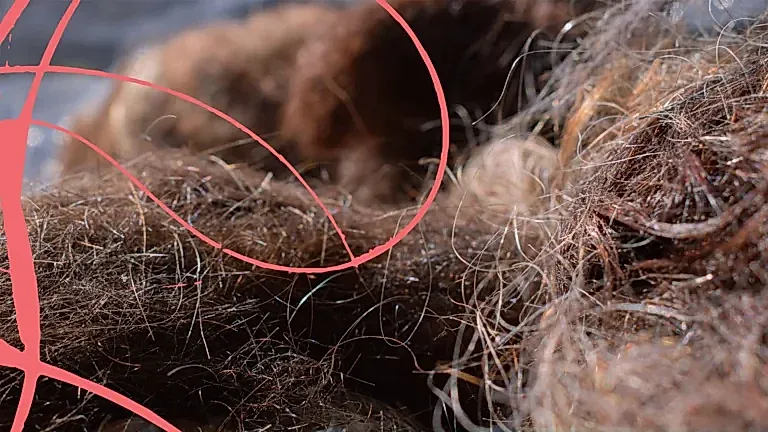 How we recycle…YOUR HAIR!